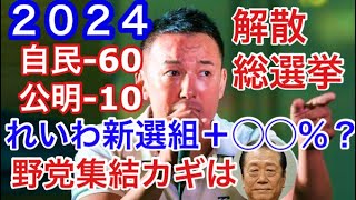 ２０２４政権交代起こる？小沢一郎が立憲民主50人引き連れ？reiwashinsengumiouen informativereiwaofvideo [upl. by Nerreg558]