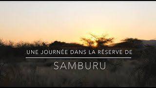 Une journée dans la réserve de Samburu [upl. by Sonia]