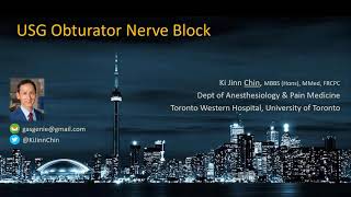 USG Obturator Nerve Block [upl. by Adnoraj]