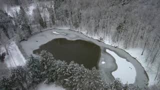 Neve Foresta Umbra sul Gargano Foggia  Puglia vista con il drone  5 Gennaio 2019 [upl. by Gimble141]