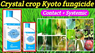 kyoto fungicideCrystalAzoxystrobin11Tebuconazole183SCkyoto fungicide price dose work result [upl. by Ceevah888]