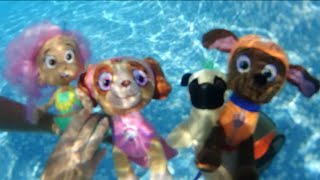 Patrulla canina en español salva a un cachorro sirena en la piscinaCap 11 Paw Patrol en Español [upl. by Ystap930]