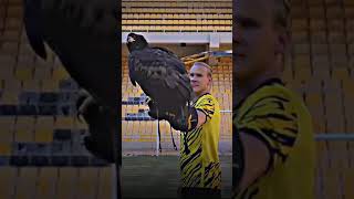 Domagoj Vida Renewal aek original21domagojvida superleague [upl. by Fawcett]