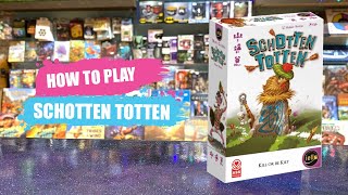 How to Play Schotten Totten  Board Game Rules amp Instructions [upl. by William324]