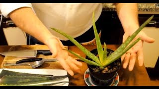 Succo di Aloe Vera e Arancia Chef Stefano Barbato ITA [upl. by Kcirevam]