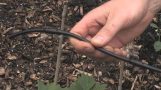 Drip Irrigation Basics [upl. by Itida433]