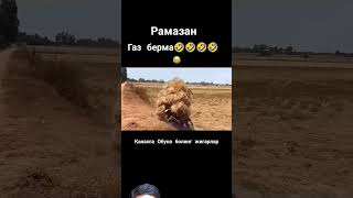 Ramazan is safe 😂😂😂😅 uzbekistan automobile uzbekstan funny viralvideo memes [upl. by Godwin710]