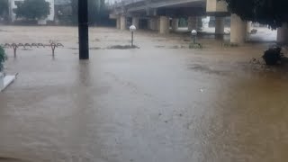 MARIKINA RIVER UPDATE [upl. by Raina]