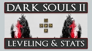 Dark Souls II  In Depth Leveling Guide amp Stats Explanation [upl. by Akirea]