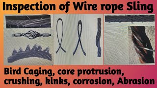 Inspection of Wire rope Discard Criteria of Wire Ropes Crushing Bird Caging Core Protrusion [upl. by Eniamerej]