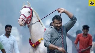 Darshan Sankranti Celebration In Farm House  Darshan Farm House Video  Roberrt Movie  D Boss News [upl. by Vial112]