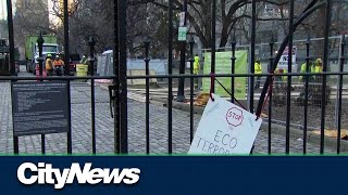 Fate of historic Osgoode Hall trees could soon be decided [upl. by Malony398]