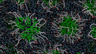 Micelle formation through molecular selfassembly [upl. by Aiet]