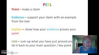 How to write a perfect PEEL paragraph [upl. by Ylrbmik]