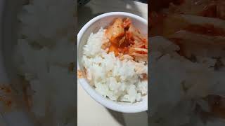 Kimchi Rice Meal adayinmylife kimchi kimchirice [upl. by Nelson]