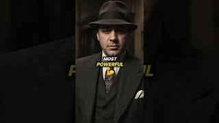 Insane Al Capone Facts facts amazingfacts didyouknowfacts alcapone [upl. by Qidas]