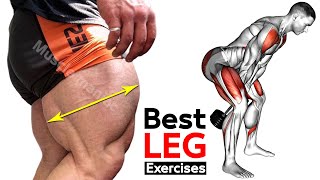 10 MIN LEG WORKOUT Exercises  Thighs Booty hamstringQuadriceps [upl. by Aisenet]