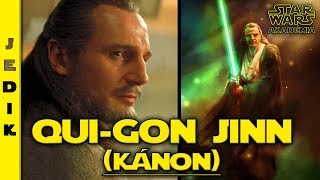 QuiGon Jinn Élete KÁNON  Star Wars Akadémia [upl. by Toile]