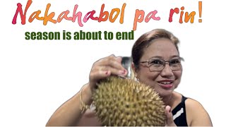 Durian Season is about to end My last cravings [upl. by Leonelle]