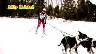 Skijoring 2014 Merrill Winterfest Sled Dog Race [upl. by Ecirtaemed259]