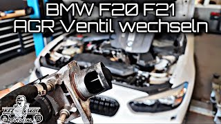 BMW F20 116D N47  AGR Ventil wechseln  255B00 amp 255C00  Drehmomentwerte  EGR Ventil replacement [upl. by Season636]