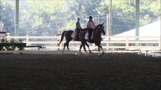 Horse Leonidas Leo Schooling and training at GAIHP The Day Before Regionals 2013 10102013 [upl. by Materse]