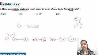 Mitotic divisions [upl. by Fairfax]