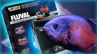 Fluval 407 Canister Filter Setup amp Review [upl. by Ahsekan]