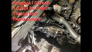 PSA 16 8v DV6C Timing Belt Replacement [upl. by Samara]