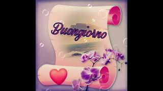 buongiorno gif [upl. by Lusty]