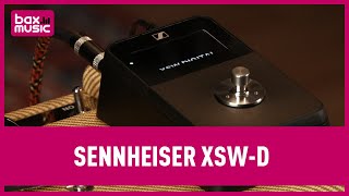 Sennheiser XSWD Pedalboard set Review  Bax Music [upl. by Eissak]