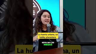 La HUERTA URBANA una sana actividad de relajación laguaridatv [upl. by Redman]