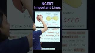 Structure Of Dicotyledonous Seed  Revision Biology NEET  NCERT important lines for NEET neet2025 [upl. by Lotti356]