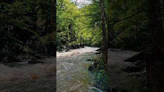 georgia borjomi canal [upl. by Yleoj]