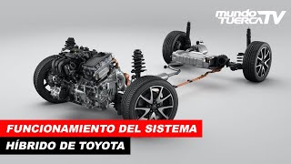 ¿Cómo funciona el Sistema Híbrido de Toyota [upl. by Amabel625]