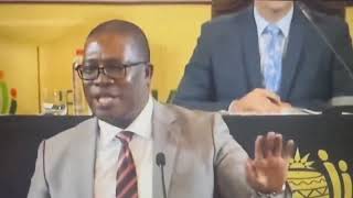 PREMIER PANYAZA LESUFI vs PRES CYRIL RAMAPHOSA  SIGN THE BASIC EDUCATION AMMENDMENT LAW [upl. by Nnaarat633]