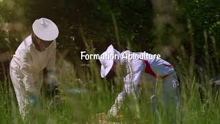 Formation apiculture [upl. by Attenod540]