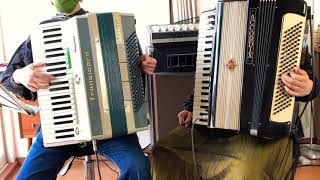 Farfisa Transicordog072 amp TOMBO Accordix A120 og081demo［organ69］ [upl. by Goraud]