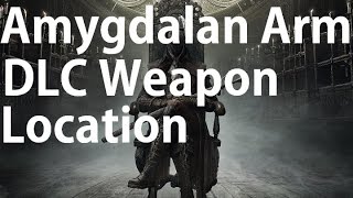 Bloodborne DLC The Old Hunters  Amygdalan Arm Weapon Location [upl. by Ileyan]