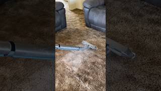 Steam cleaning carpet cleaning carpetsteamcleaning satisfyingcarpetcleaning home steamcleaning [upl. by Adim]