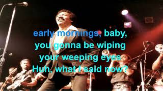 Mustang Sally Lyrics [upl. by Harday687]