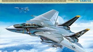 Tamiya 148 F14A Tomcat  Some Final Thoughts [upl. by Wyck]