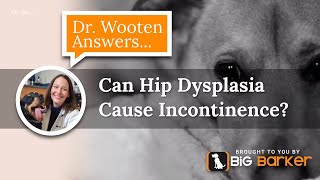 Can Hip Dysplasia Cause Incontinence  Dr Wooten Answers [upl. by Irena421]