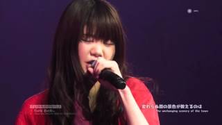 Ikinomogakari  HANA WA SAKURA KIMI WA UTSUKUSHI  lyric 「いきものがかり 花は桜 君は美し」 Live [upl. by Moht868]