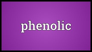 Phenolic Meaning [upl. by Suirauqram]