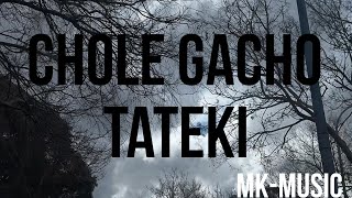 chole gacho tateki🖤🥀✨MKMUSICcoversongsvideomusicviralvideosadsong [upl. by Halbeib]