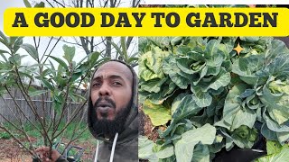 A GOOD DAY TO GARDEN  SPRING GARDENING  1 ACRE FOOD FOREST [upl. by Atiuqa]