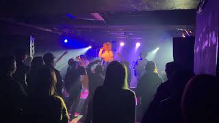 【LIVE 4K】Dimrays 20231130 SHINJUKU ANTIKNOCK [upl. by Ginnifer]