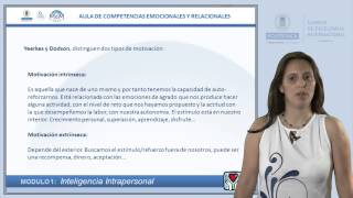 AUTOMOTIVACIÓN Motivación Intrínseca y Extrínseca [upl. by Valleau]