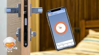 How to Set Up Smart Door LockBLE [upl. by Ylek]